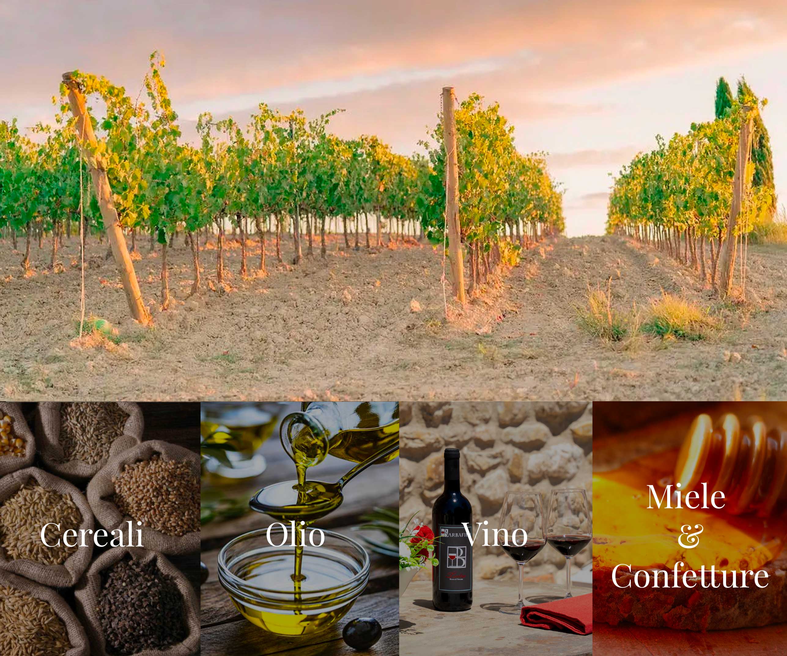 fattoria biologica a volterra